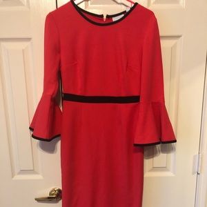 Sheath Dress with Bell Sleeves
